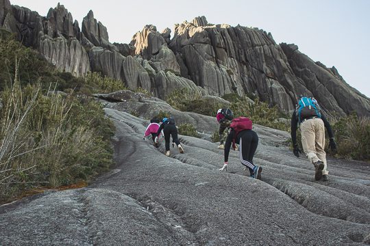 Trilha Agulhas Negras - Parque Nacional de Itatiaia