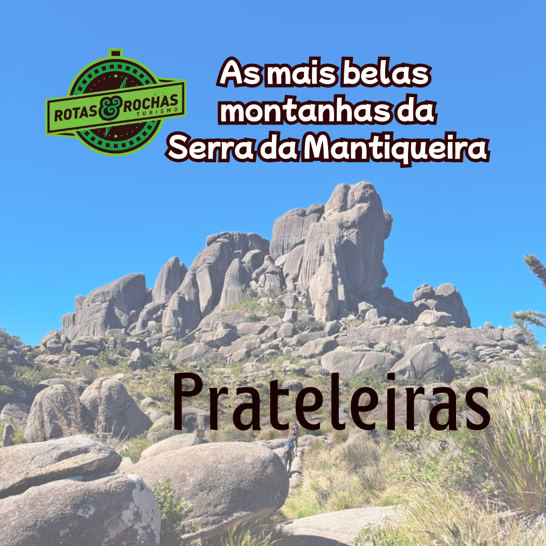 Pico Prateleiras - PNI